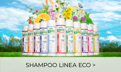 Shampoo Linea Eco